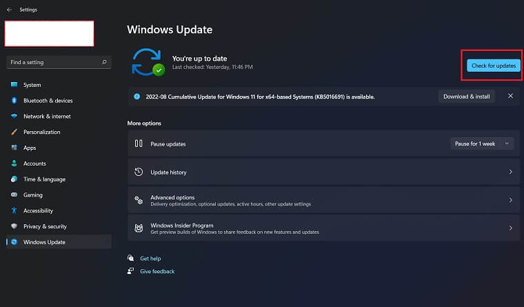 check windows 11 update