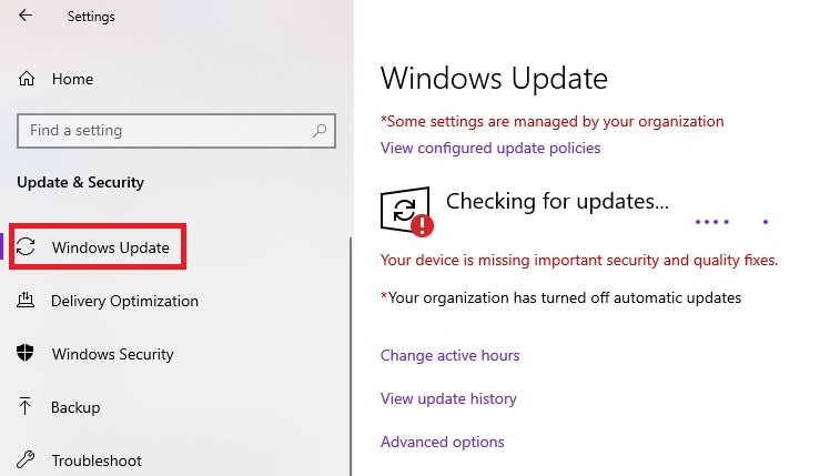 check and install Windows update