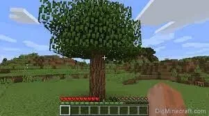 Chop a Tree in Minecraft