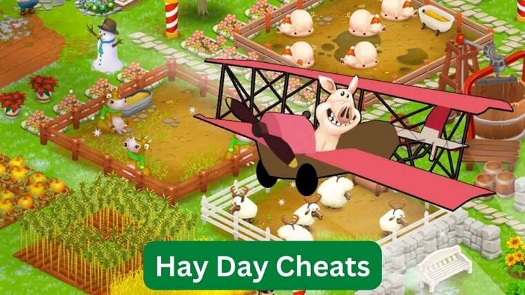 Hay Day Cheat Codes