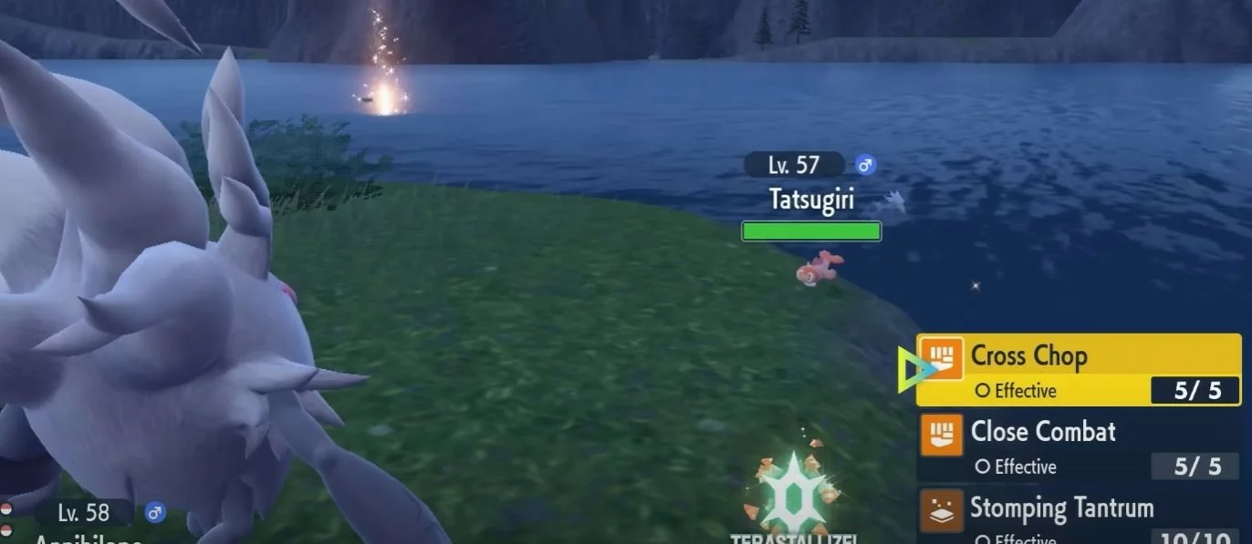 catching tatsugiri