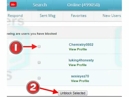 How to Unblock Someone on Plenty of Fish (POF) Using a PC?