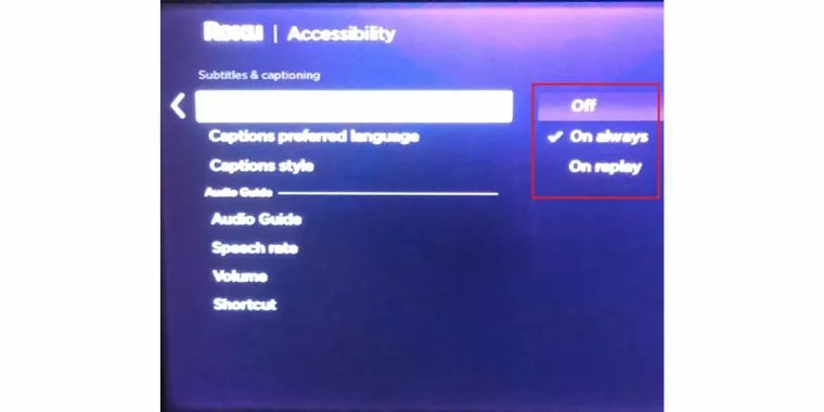 Turn On or Off the Subtitles on a Roku (3)